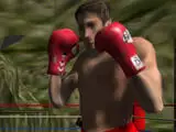 Hyrule Boxing Challenge
