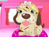 Dog Salon