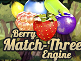 Berry Match