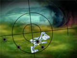 Rabbit Hunt