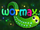 Wormax.io
