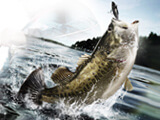 Fishing Trip