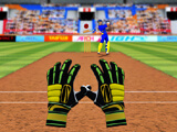 Cricket Fielder Challenge Game