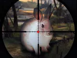 Classical Rabbit Sniper Hunting 2019