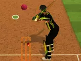 Cricket Batter Challenge Game