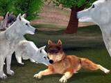 Wild Wolves