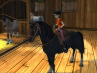 Star Stable Game
