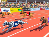 Dog Race Sim 2020 Dog Racing games