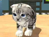 Cat Simulator: Kitty Craft