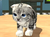 Cat Simulator: Kitty Craft