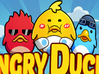 Angry Ducks