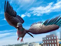 Pigeon Simulator In The City