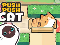 Push Push Cat