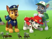 Paw Patrol: Pups Save The Friends