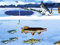 Fabulous Fishing