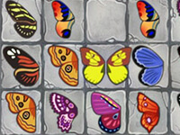 Butterfly Connect
