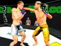 MMA Fighting 3D