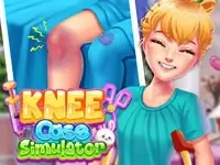 Knee Case Simulator