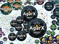 AgarX