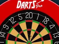 Darts Pro