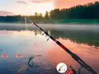 Fish Season