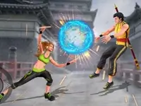 Kung Fu Gym Fighting