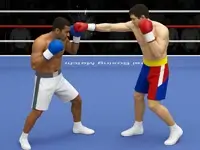 Boxing 3D