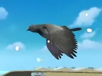 Bird Game 3: World