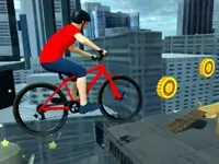 BMX Bike Stunts