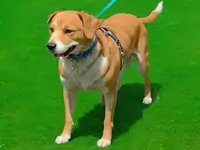 Family Pet Dog Games