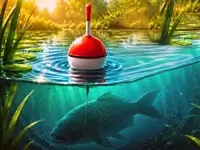 Fishing: Mystery Of The Old Pond
