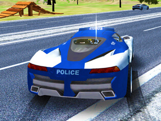 police car stunt driver